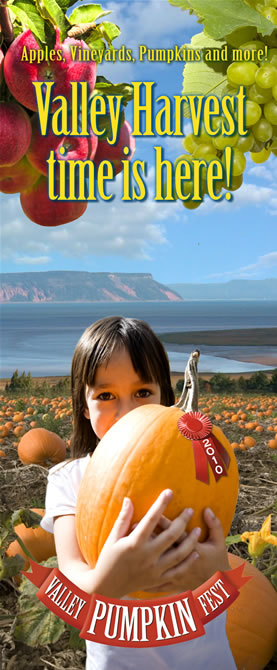 2010 2009 Pumpkin Festival cover image